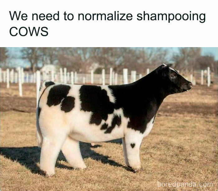 50 Memezar Memes That Are Hilariously Relatable 50 Memezar Memes That Are Hilariously Relatable