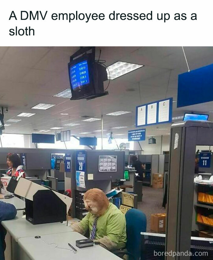 50 Memezar Memes That Are Hilariously Relatable 50 Memezar Memes That Are Hilariously Relatable