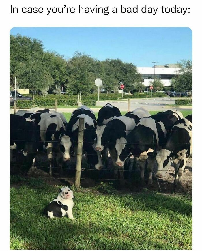 50 Memezar Memes That Are Hilariously Relatable 50 Memezar Memes That Are Hilariously Relatable