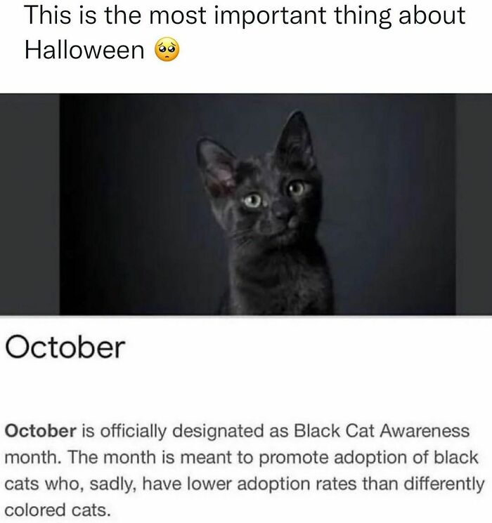 50 Memezar Memes That Are Hilariously Relatable 50 Memezar Memes That Are Hilariously Relatable