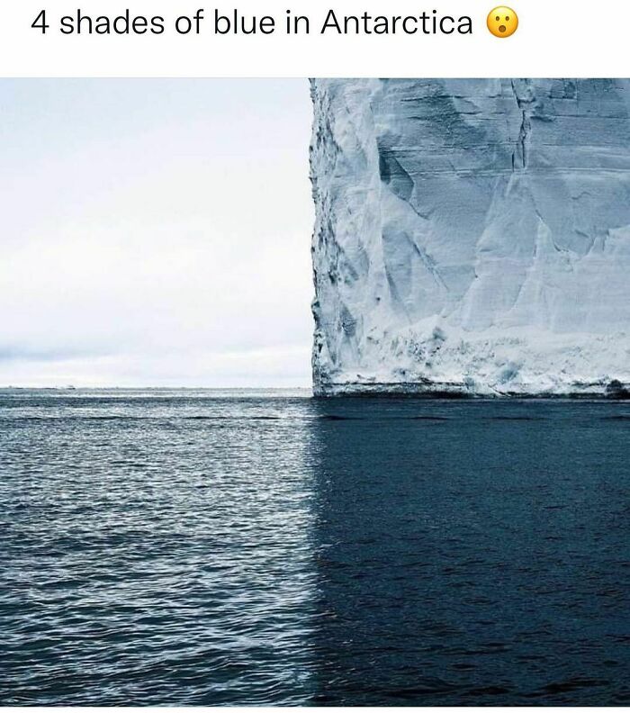 50 Memezar Memes That Are Hilariously Relatable 50 Memezar Memes That Are Hilariously Relatable