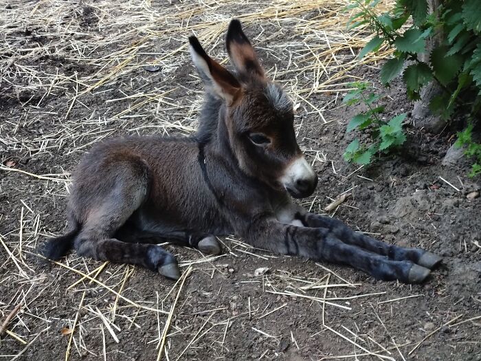 Hey Pandas, Post Your Best Photos That You Took On The Fourth Of July (Closed) Hey Pandas, Post Your Best Photos That You Took On The Fourth Of July (Closed)