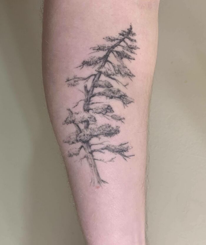 100 Majestic Tree Tattoos To Celebrate The Wonders Of Nature