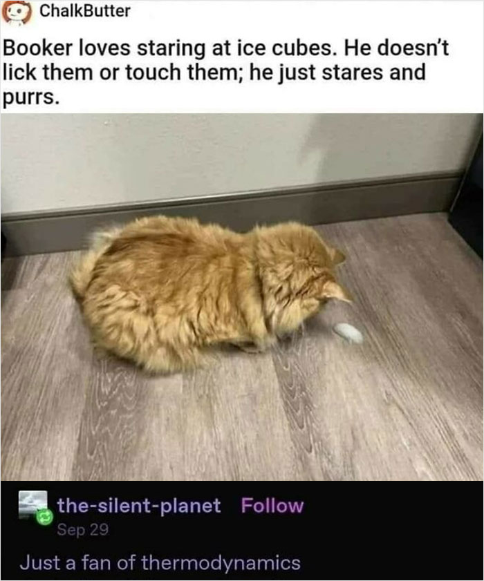 ‘Educational Memes’: 35 Posts That Might Hit The Spot If You’re Still In School ‘Educational Memes’: 35 Posts That Might Hit The Spot If You’re Still In School