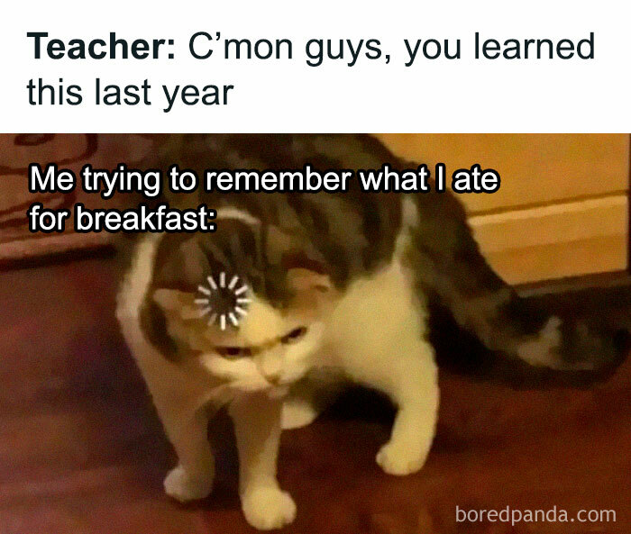 ‘Educational Memes’: 35 Posts That Might Hit The Spot If You’re Still In School ‘Educational Memes’: 35 Posts That Might Hit The Spot If You’re Still In School