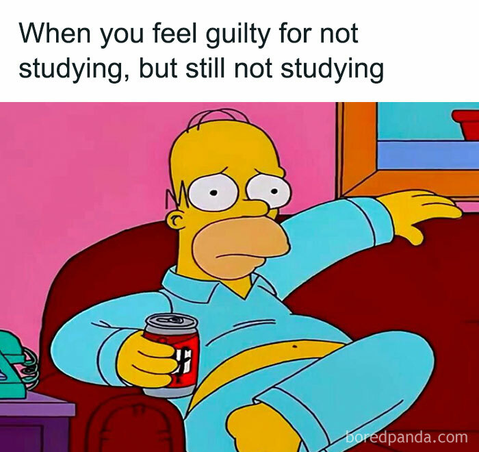 ‘Educational Memes’: 35 Posts That Might Hit The Spot If You’re Still In School ‘Educational Memes’: 35 Posts That Might Hit The Spot If You’re Still In School