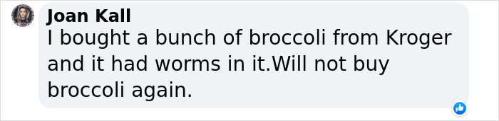 Man Receives Shock Of A Lifetime After Finding Snake Inside Bag Of Broccoli, Demands Compensation Man Receives Shock Of A Lifetime After Finding Snake Inside Bag Of Broccoli, Demands Compensation