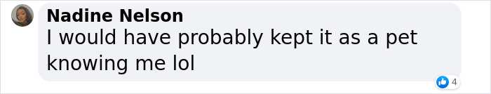 Man Receives Shock Of A Lifetime After Finding Snake Inside Bag Of Broccoli, Demands Compensation Man Receives Shock Of A Lifetime After Finding Snake Inside Bag Of Broccoli, Demands Compensation