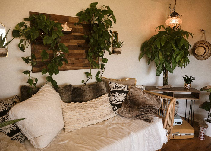 “Study Your Potential Neighbors”: Homeowners Share 40 Things They Wish They Had Known Before Buying Their First Houses “Study Your Potential Neighbors”: Homeowners Share 40 Things They Wish They Had Known Before Buying Their First Houses