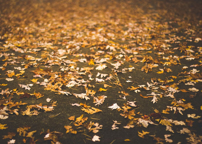 “Study Your Potential Neighbors”: Homeowners Share 40 Things They Wish They Had Known Before Buying Their First Houses “Study Your Potential Neighbors”: Homeowners Share 40 Things They Wish They Had Known Before Buying Their First Houses