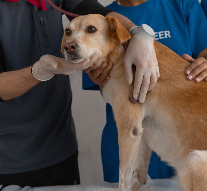 “How Did They Make This Far?”: 40 Medical Professionals Remember The Most Notorious Darwin Award Candidates They’ve Ever Met “How Did They Make This Far?”: 40 Medical Professionals Remember The Most Notorious Darwin Award Candidates They’ve Ever Met