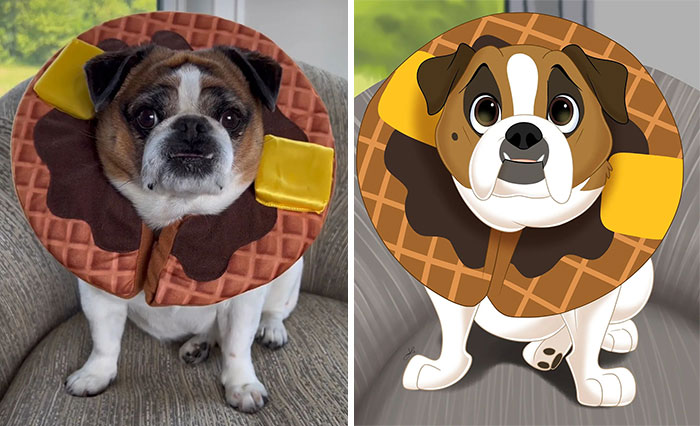 From Furballs To Fairytales: Artist Creates Adorable Pet Portraits In Disney Style (32 New Pics) From Furballs To Fairytales: Artist Creates Adorable Pet Portraits In Disney Style (32 New Pics)