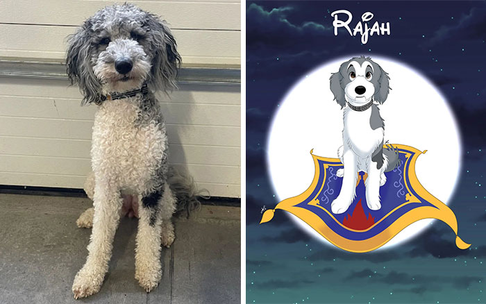 From Furballs To Fairytales: Artist Creates Adorable Pet Portraits In Disney Style (32 New Pics) From Furballs To Fairytales: Artist Creates Adorable Pet Portraits In Disney Style (32 New Pics)