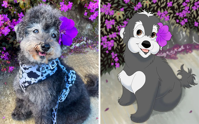 From Furballs To Fairytales: Artist Creates Adorable Pet Portraits In Disney Style (32 New Pics) From Furballs To Fairytales: Artist Creates Adorable Pet Portraits In Disney Style (32 New Pics)
