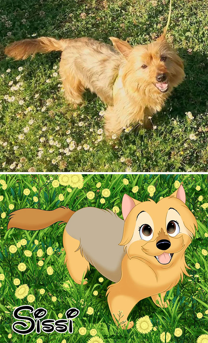 From Furballs To Fairytales: Artist Creates Adorable Pet Portraits In Disney Style (32 New Pics) From Furballs To Fairytales: Artist Creates Adorable Pet Portraits In Disney Style (32 New Pics)