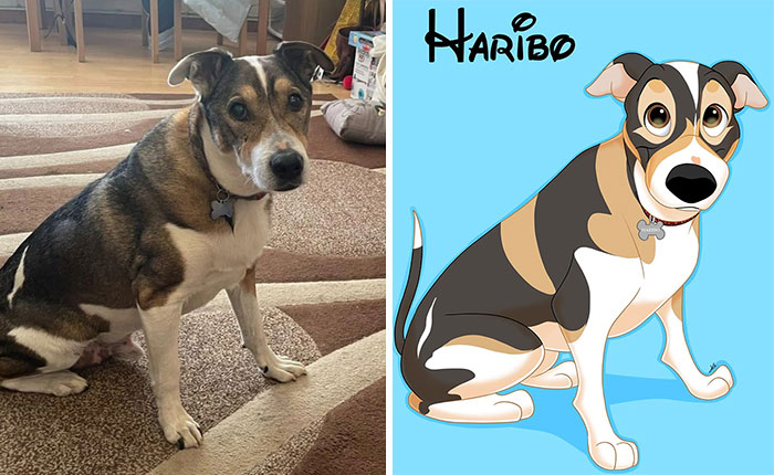From Furballs To Fairytales: Artist Creates Adorable Pet Portraits In Disney Style (32 New Pics) From Furballs To Fairytales: Artist Creates Adorable Pet Portraits In Disney Style (32 New Pics)