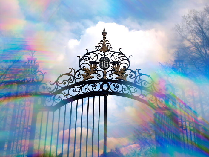 I Create Rainbow-Infused Photography Without The Use Of Photoshop (15 Pics) I Create Rainbow-Infused Photography Without The Use Of Photoshop (15 Pics)