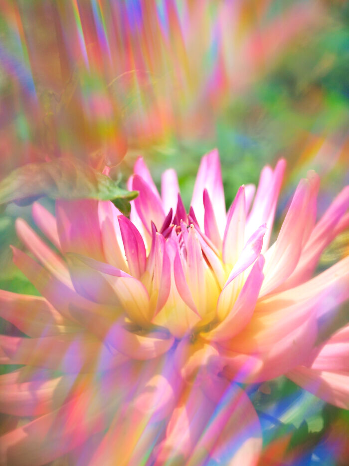 I Create Rainbow-Infused Photography Without The Use Of Photoshop (15 Pics) I Create Rainbow-Infused Photography Without The Use Of Photoshop (15 Pics)