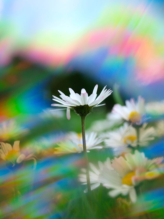 I Create Rainbow-Infused Photography Without The Use Of Photoshop (15 Pics) I Create Rainbow-Infused Photography Without The Use Of Photoshop (15 Pics)