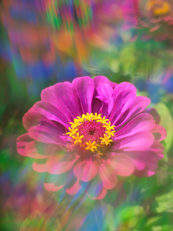 I Create Rainbow-Infused Photography Without The Use Of Photoshop (15 Pics) I Create Rainbow-Infused Photography Without The Use Of Photoshop (15 Pics)