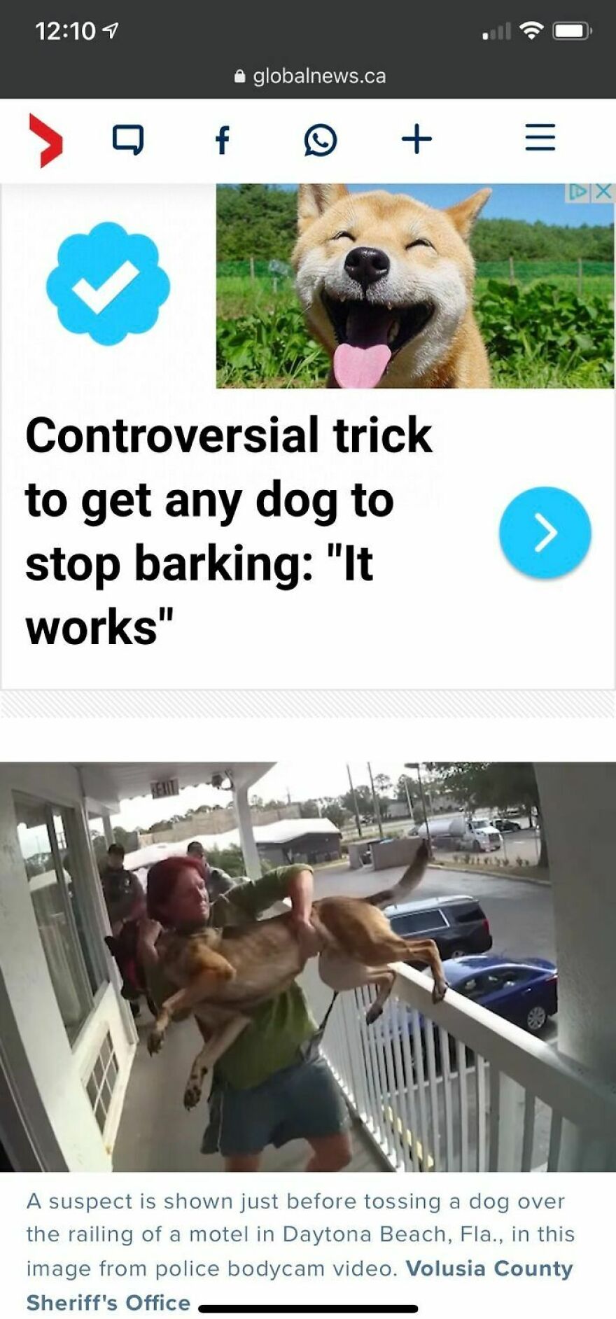 Hey Pandas, Post The Most Cursed Image You Can Find (Closed) Hey Pandas, Post The Most Cursed Image You Can Find (Closed)