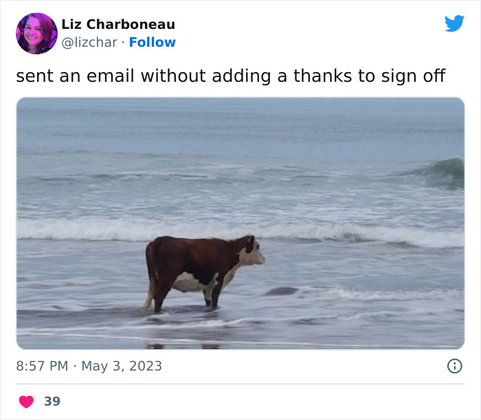 People Roast Email Culture In These 30 Hilariously Spot-On Tweets People Roast Email Culture In These 30 Hilariously Spot-On Tweets