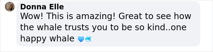 Incredible Moment As Whale Swims Up To Captain And Makes An Unusual Request Caught On Video