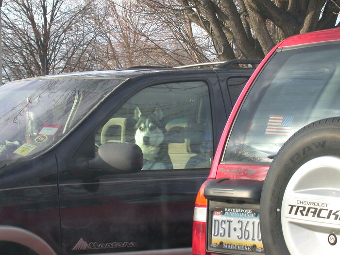 Hey Pandas, Post A Picture Of Something You Saw While Driving That May Give Us A Laugh (Closed) Hey Pandas, Post A Picture Of Something You Saw While Driving That May Give Us A Laugh (Closed)