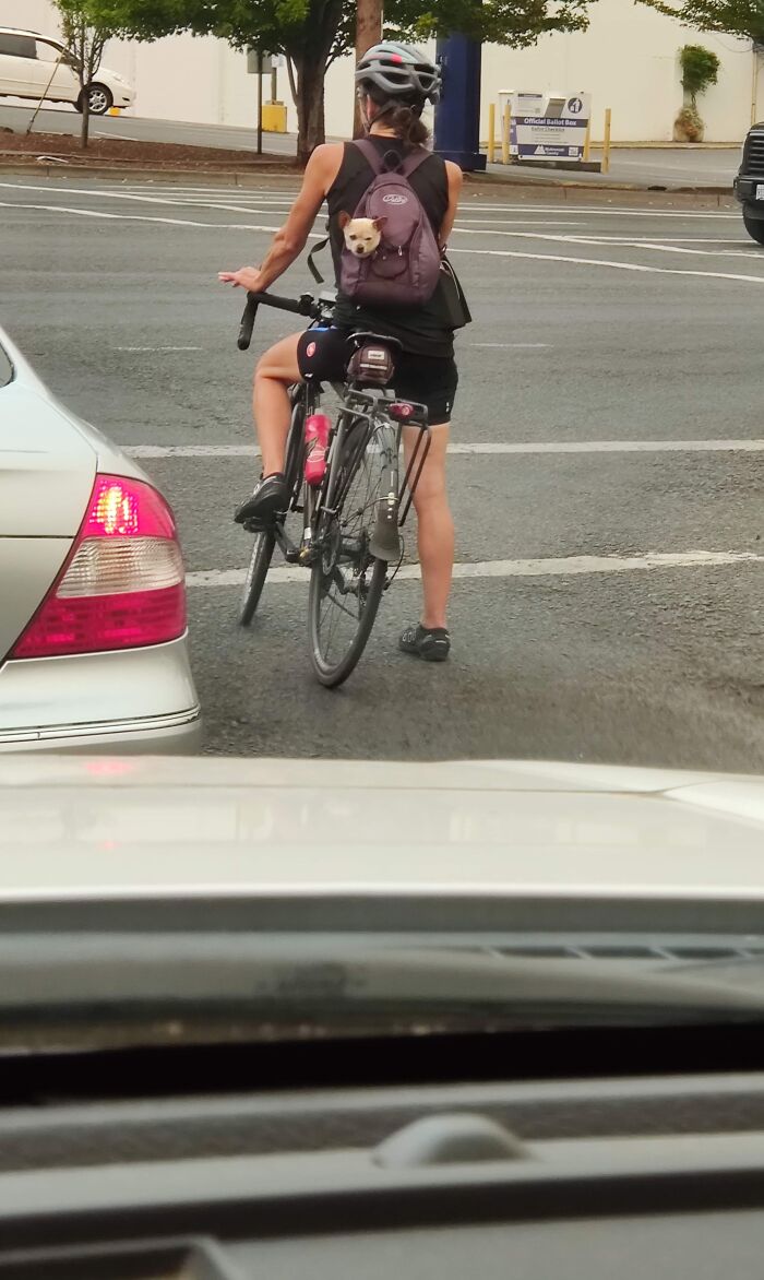 Hey Pandas, Post A Picture Of Something You Saw While Driving That May Give Us A Laugh (Closed) Hey Pandas, Post A Picture Of Something You Saw While Driving That May Give Us A Laugh (Closed)