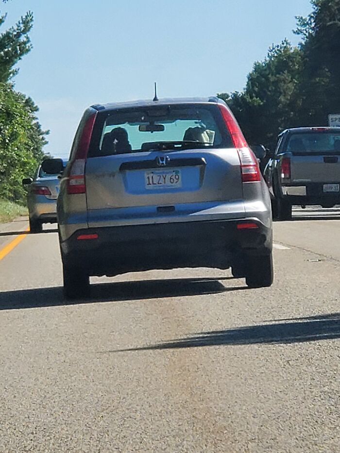 Hey Pandas, Post A Picture Of Something You Saw While Driving That May Give Us A Laugh (Closed) Hey Pandas, Post A Picture Of Something You Saw While Driving That May Give Us A Laugh (Closed)