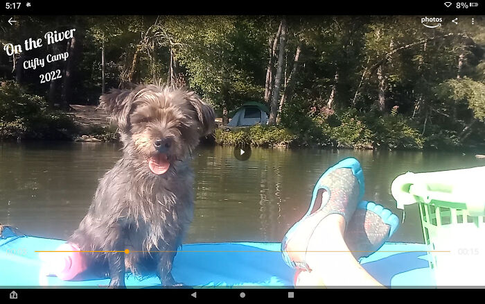 Hey Pandas, Show Us Your Pets Playing In The Water (Closed) Hey Pandas, Show Us Your Pets Playing In The Water (Closed)