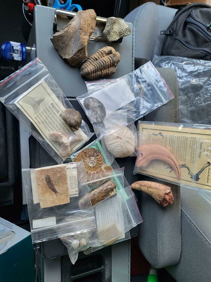 35 Times People Went ‘Dumpster Diving’ And Didn’t Regret It (New Pics) 35 Times People Went ‘Dumpster Diving’ And Didn’t Regret It (New Pics)