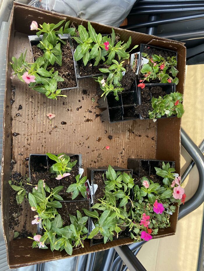 35 Times People Went ‘Dumpster Diving’ And Didn’t Regret It (New Pics) 35 Times People Went ‘Dumpster Diving’ And Didn’t Regret It (New Pics)