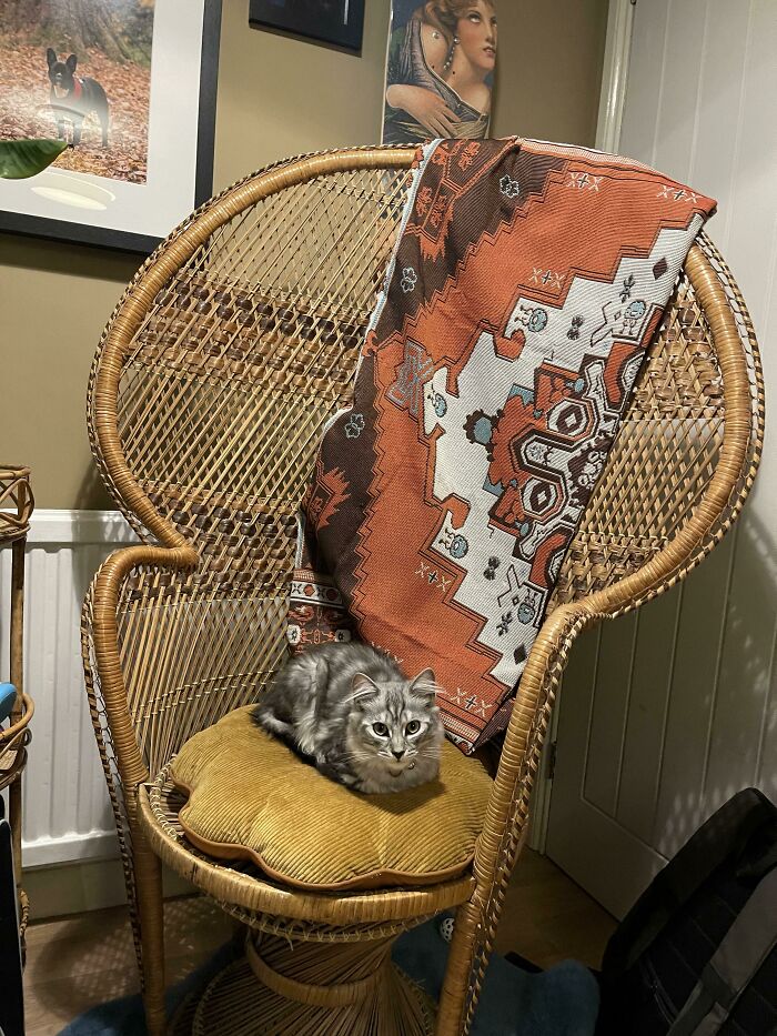 35 Times People Went ‘Dumpster Diving’ And Didn’t Regret It (New Pics) 35 Times People Went ‘Dumpster Diving’ And Didn’t Regret It (New Pics)