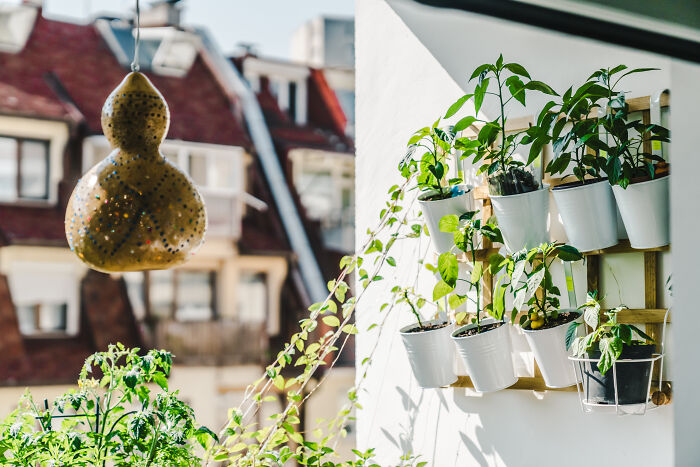 &#8220;Inka V Gradinka&#8221;: My Balcony Garden That Might Inspire You To Make Your Own (14 Pics)