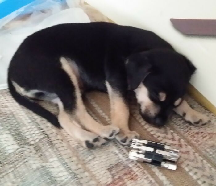 Hey Pandas, Post Miniature Versions Of Normal-Sized Things (Closed)