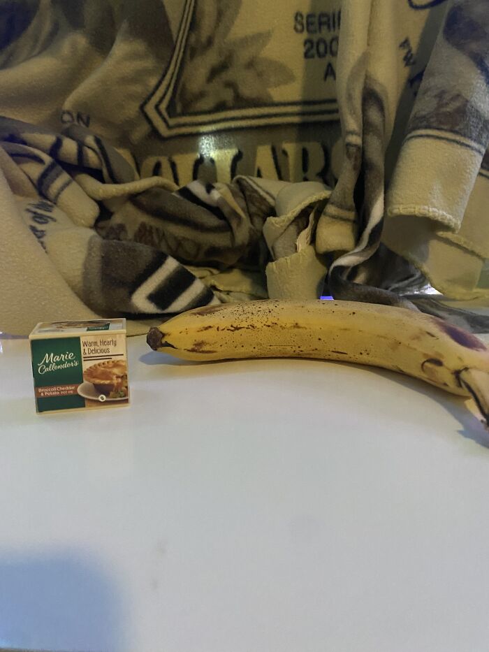 Hey Pandas, Post Miniature Versions Of Normal-Sized Things (Closed) Hey Pandas, Post Miniature Versions Of Normal-Sized Things (Closed)