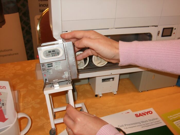 Hey Pandas, Post Miniature Versions Of Normal-Sized Things (Closed)