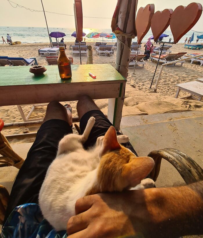 50 Uplifting Photos That Prove We Don&#8217;t Deserve Animals (New Pics)