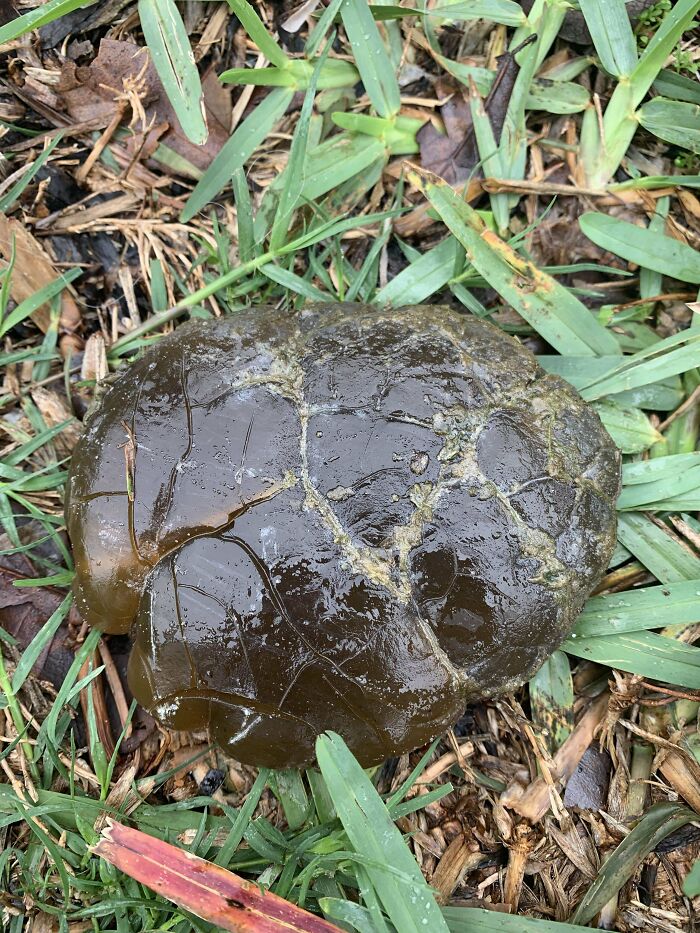 35 Times People Online Were Better Than Google At Identifying Unknown Objects (New Pics)