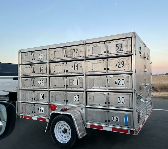 35 Times People Online Were Better Than Google At Identifying Unknown Objects (New Pics)