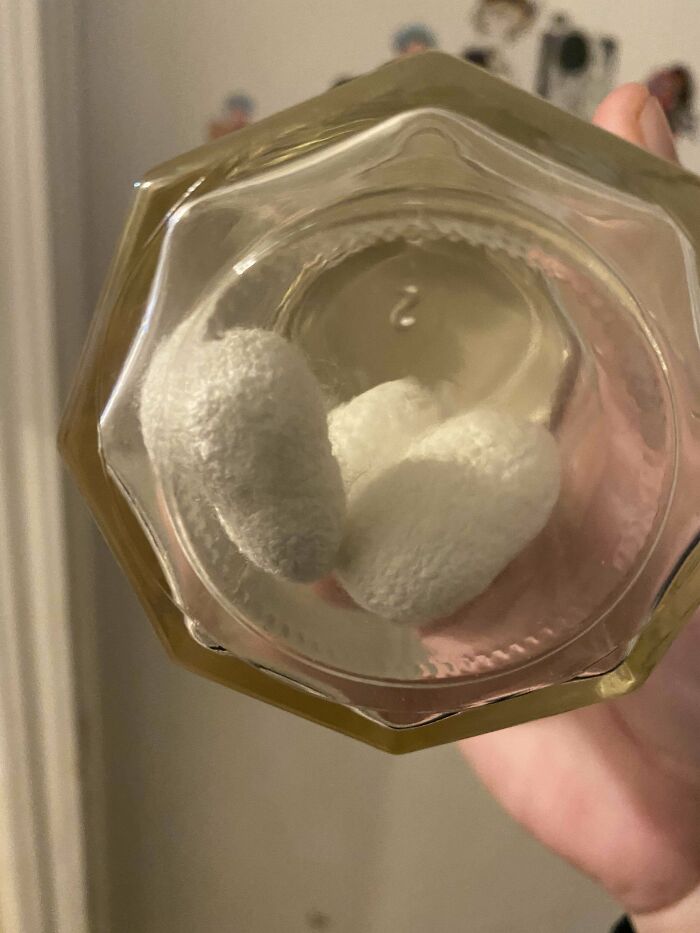 35 Times People Online Were Better Than Google At Identifying Unknown Objects (New Pics)