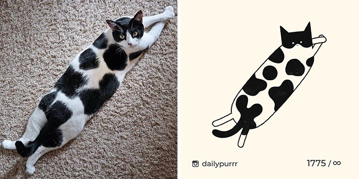 30 Of The Funniest Internet-Famous Cat Pics Get Illustrated By Daily Purrr (New Pics) 30 Of The Funniest Internet-Famous Cat Pics Get Illustrated By Daily Purrr (New Pics)