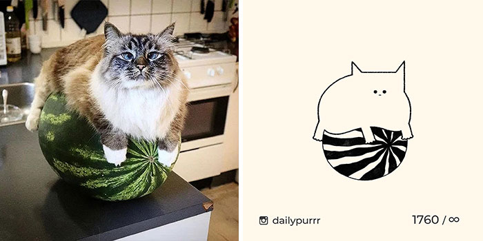 30 Of The Funniest Internet-Famous Cat Pics Get Illustrated By Daily Purrr (New Pics) 30 Of The Funniest Internet-Famous Cat Pics Get Illustrated By Daily Purrr (New Pics)