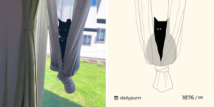 30 Of The Funniest Internet-Famous Cat Pics Get Illustrated By Daily Purrr (New Pics) 30 Of The Funniest Internet-Famous Cat Pics Get Illustrated By Daily Purrr (New Pics)