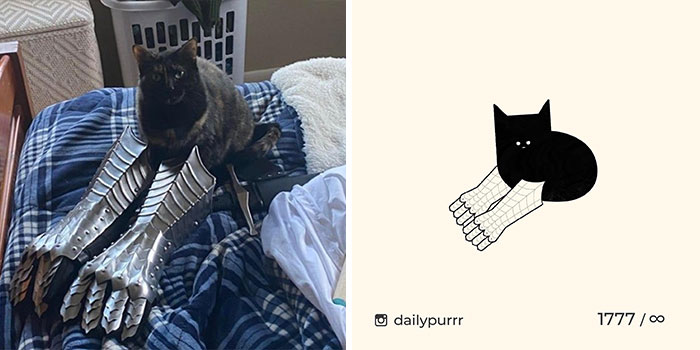 30 Of The Funniest Internet-Famous Cat Pics Get Illustrated By Daily Purrr (New Pics) 30 Of The Funniest Internet-Famous Cat Pics Get Illustrated By Daily Purrr (New Pics)