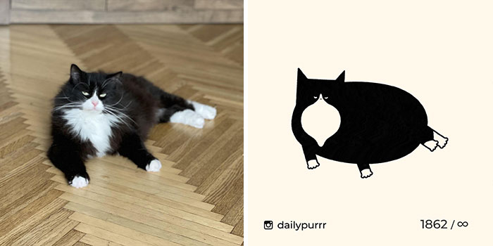 30 Of The Funniest Internet-Famous Cat Pics Get Illustrated By Daily Purrr (New Pics) 30 Of The Funniest Internet-Famous Cat Pics Get Illustrated By Daily Purrr (New Pics)