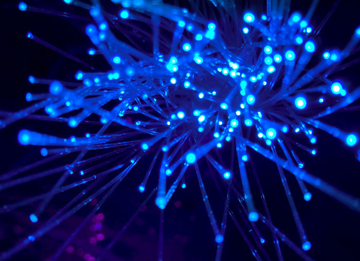 34 Fastest Things In The World That Are Really Quick