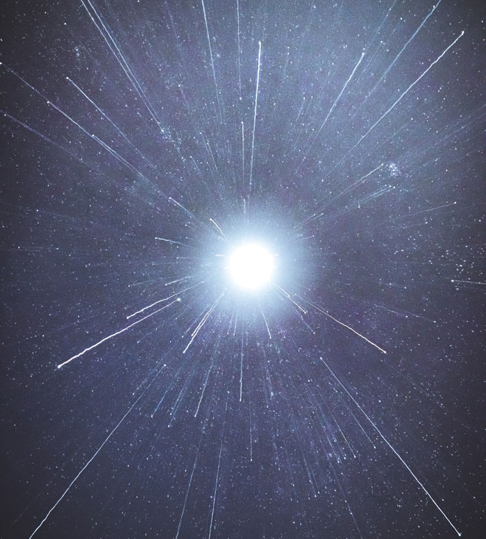 34 Fastest Things In The World That Are Really Quick