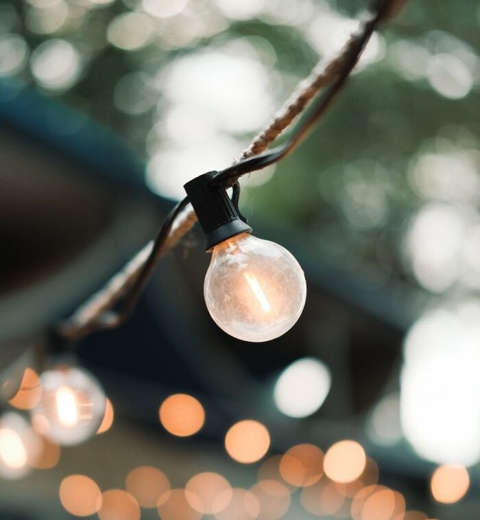 34 Fastest Things In The World That Are Really Quick